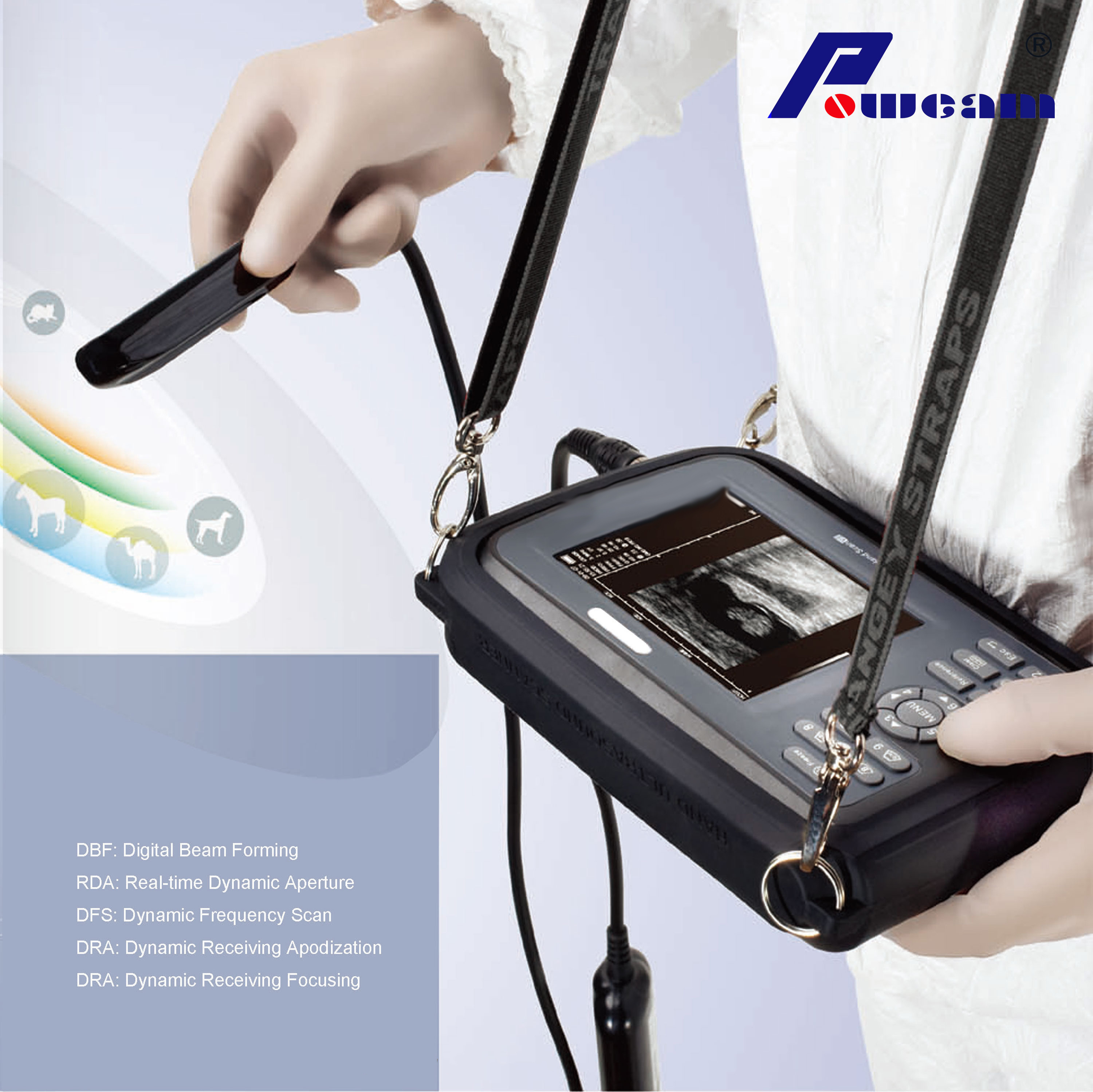 CE Veterinary Digital Portable Palmtop Ultraschallscanner (WELTB4000)